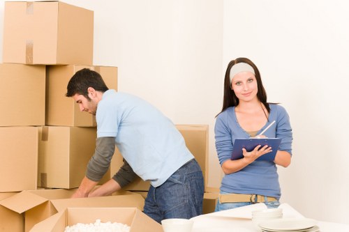 Senior review of a removals complaint